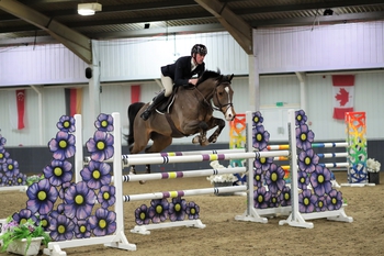 Dan Delsart lands the SEIB Winter Novice Qualifier at The College Equestrian, Centre, Keysoe